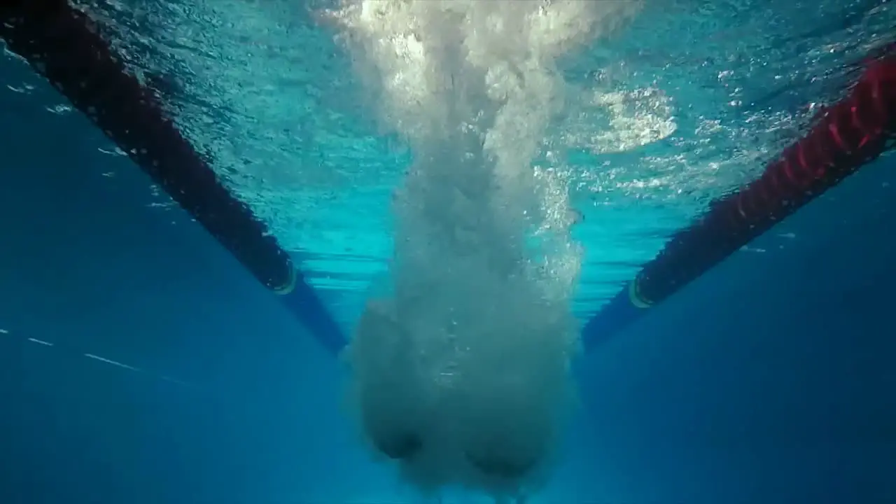 Underwater view of man swimming and diving