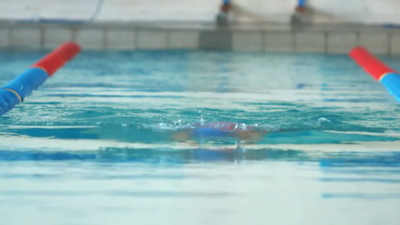 Fit woman swimming in the pool 