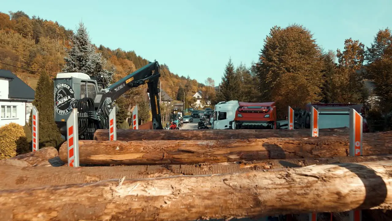 Timber crane loading tree logs on wood trucks