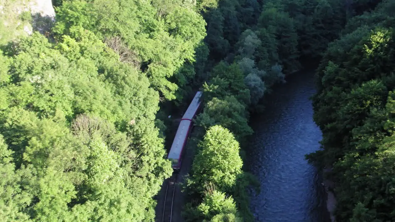 Train passing in between trees next to a river on the outskirts aerial shot