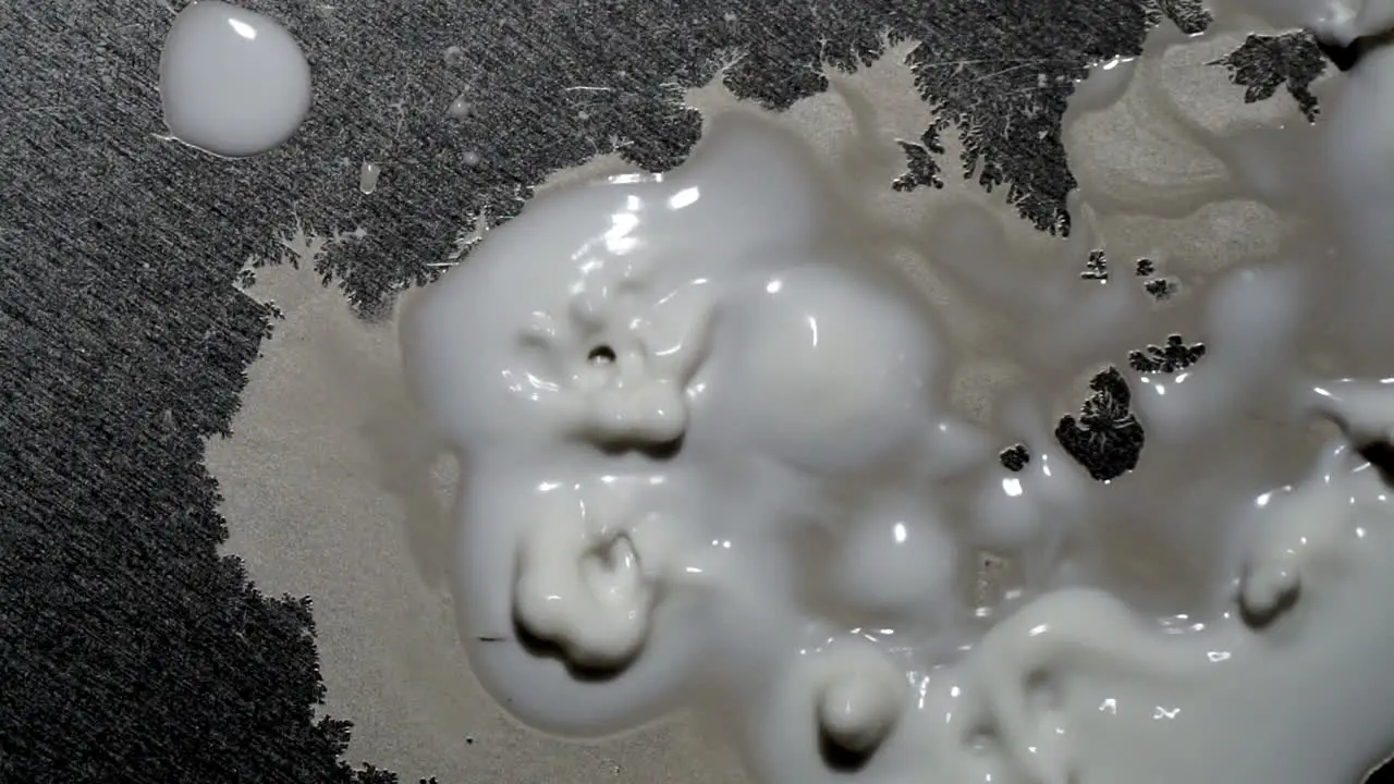 A blob of paste comes alive