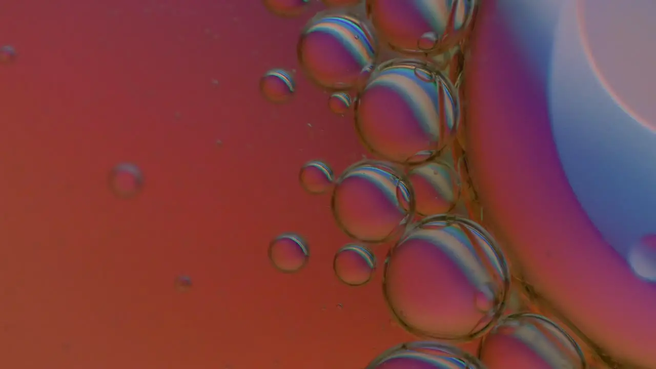 Oily bubbles changing color in water