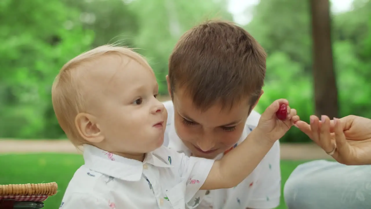 Mother and sons having picnic in park Toddler taking cherry from mother hand