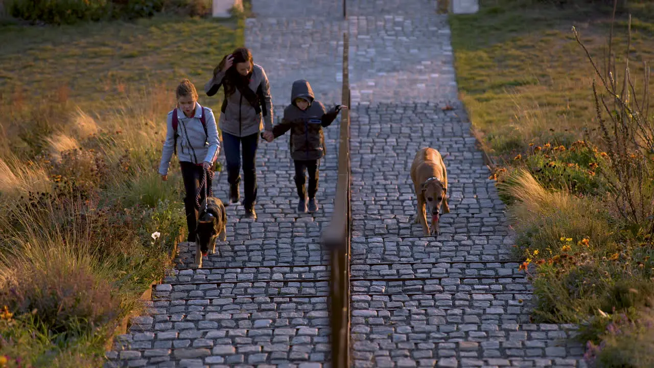 Family with two dogs walking up paved stairs in park in autumn