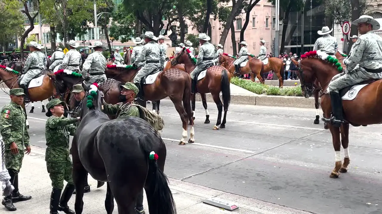 parade shot of a horse being tranquilized during the mexico city military parade