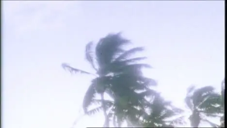 Archive Clip of Atomic Bomb Blast In Tropical Setting