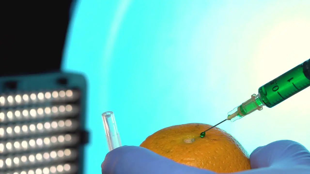 Injecting orange science test pesticide GMO testing hypodermic needle isolated