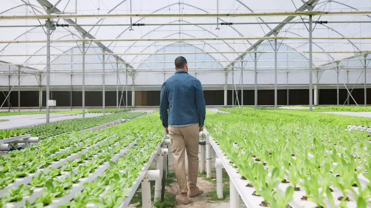 Farming nursery and man with back