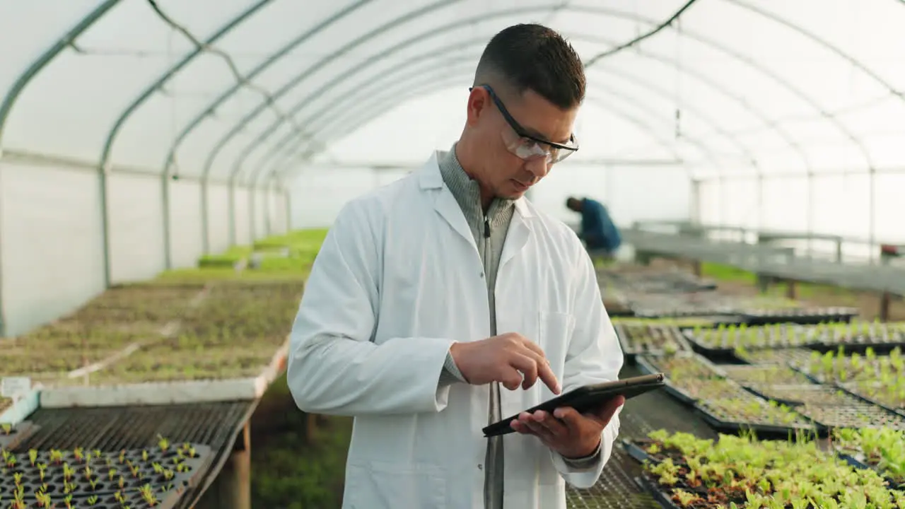 Scientist man and tablet for greenhouse plants