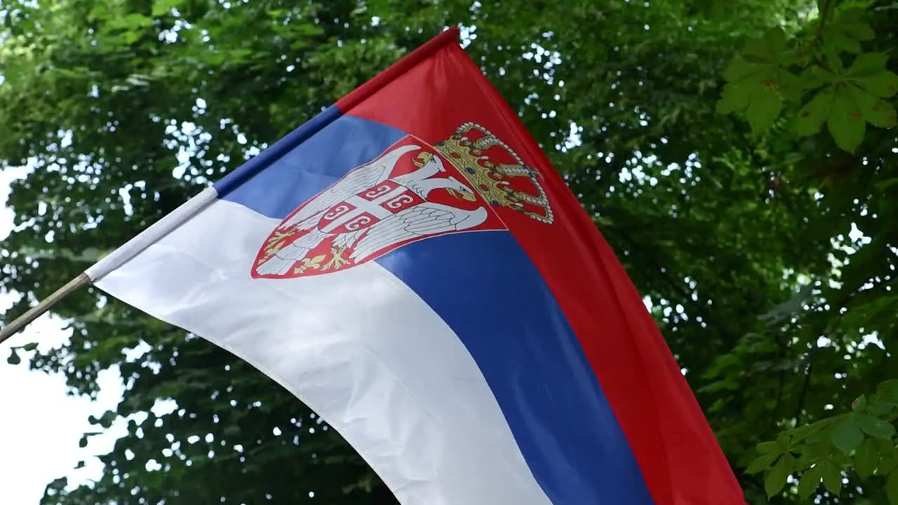 Serbian flag swaying in summer breeze