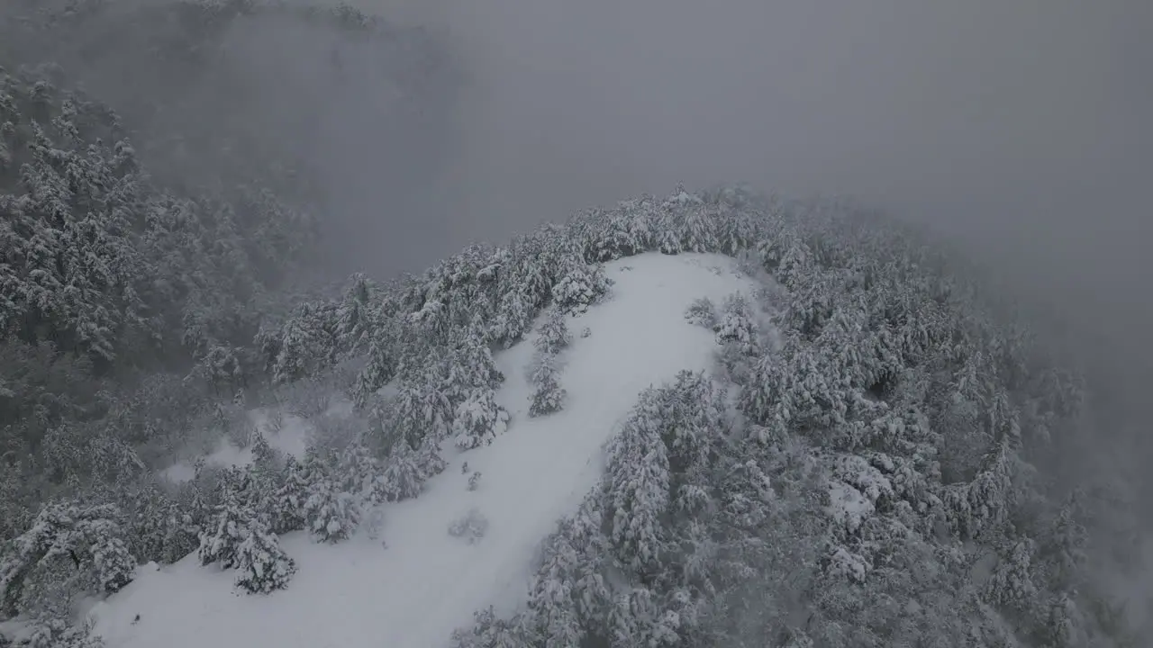 Aerial footage of Forest in Winter 4k drone snow