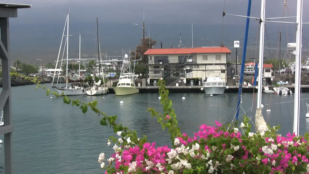 Hawaii Marina on Kona coast