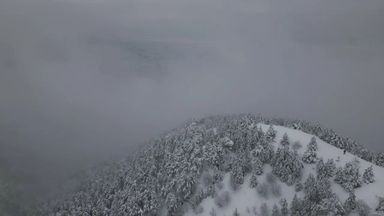 Aerial Footage of snow in forest