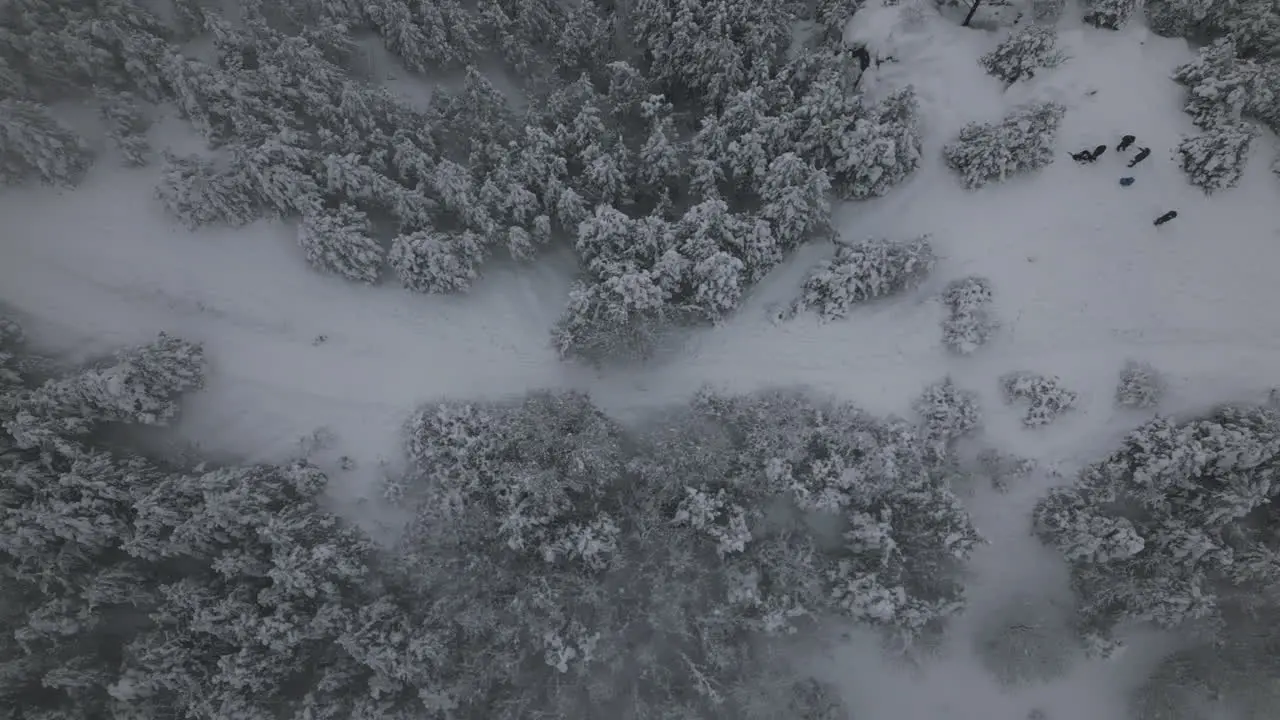 Aerial Footage of snowy forest before christmas holiday