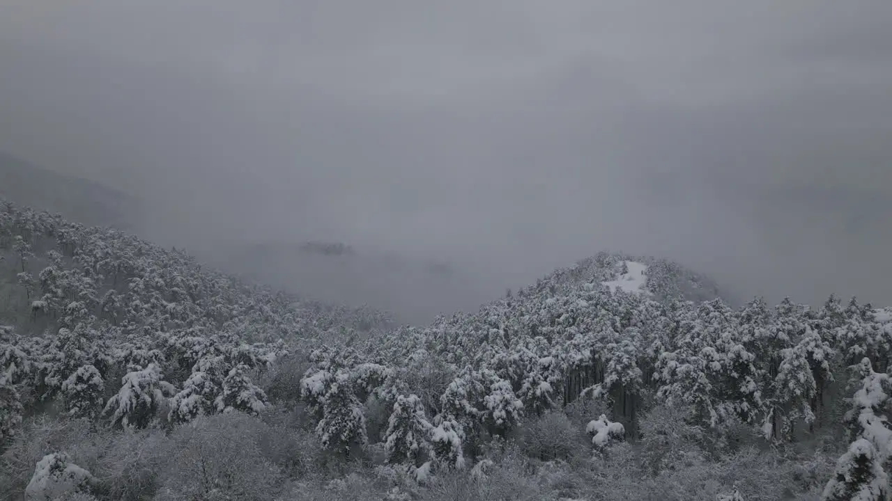 Snowy Foggy Winter Aerial Footage of forest in snow