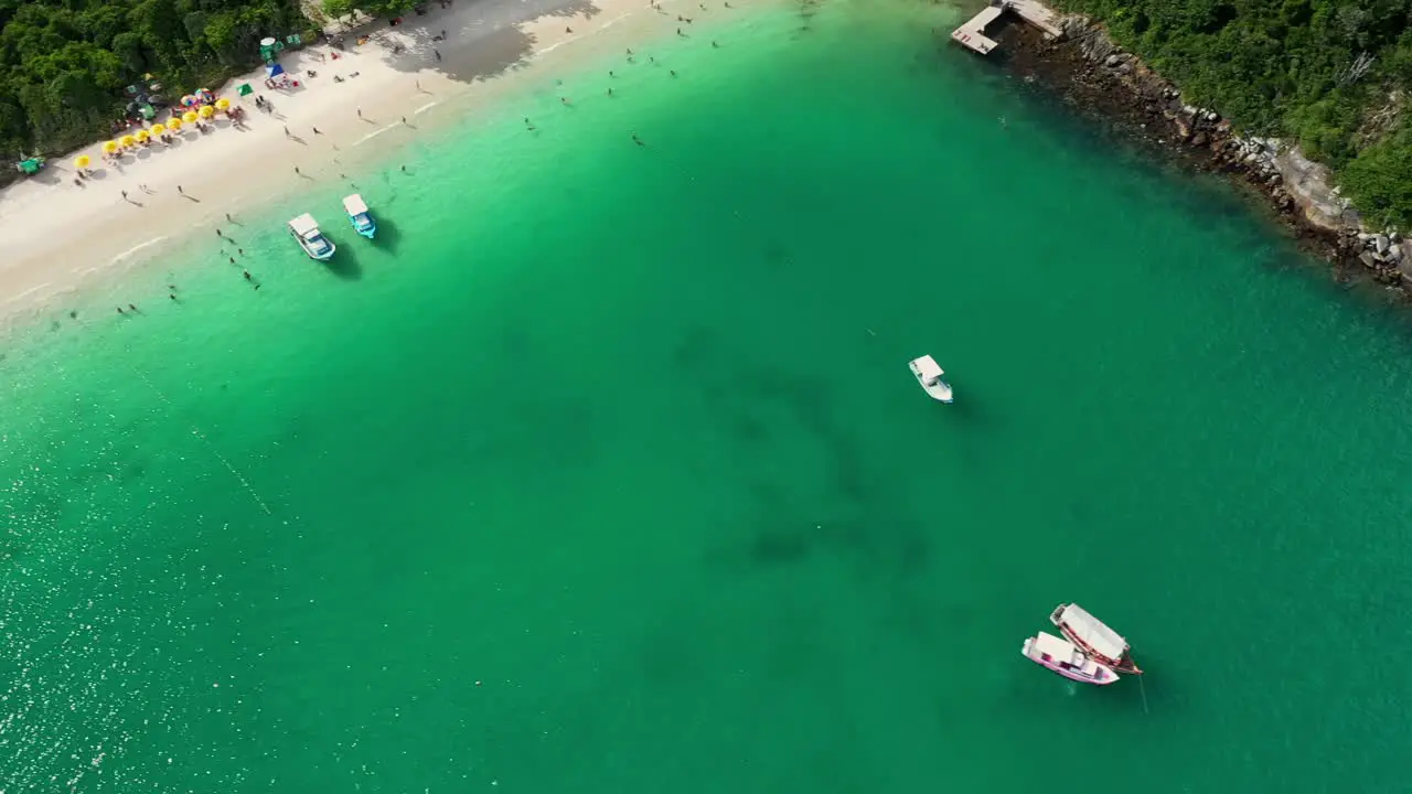 Birds eye view of gorgeous green water sea and beach secluded within Brazilian jungle