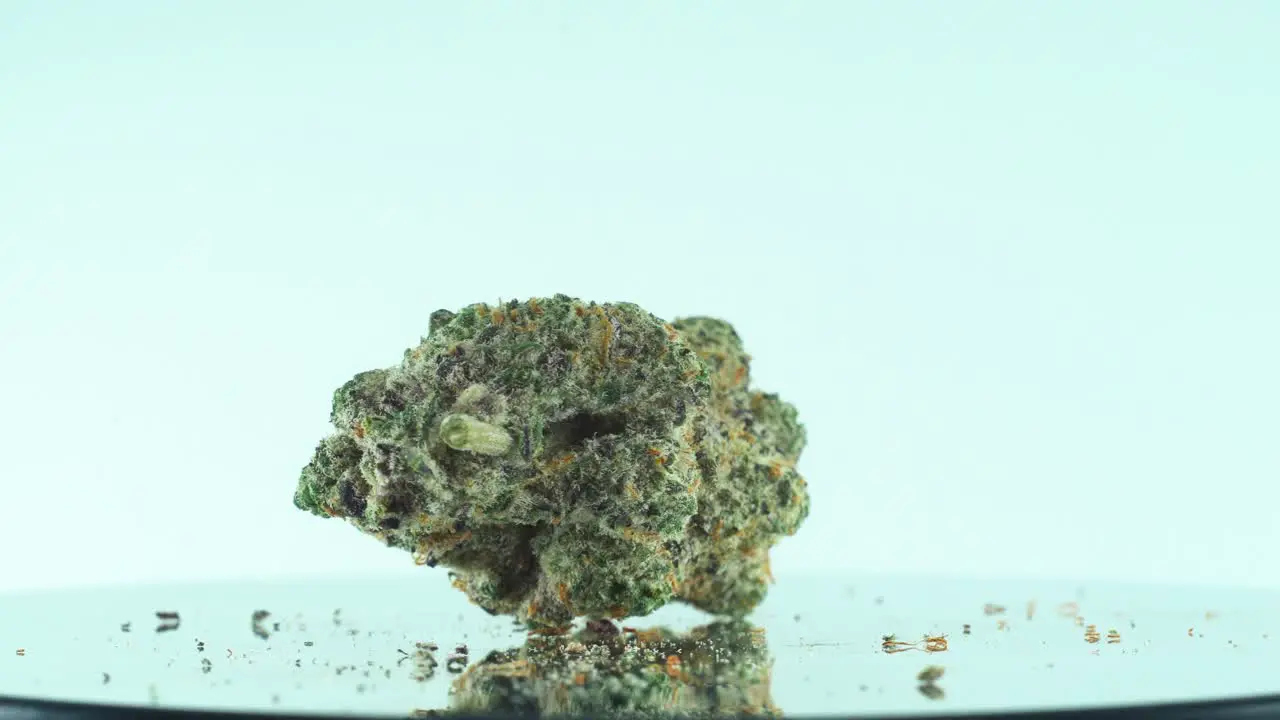 Close up shot of a Marijuana sativa Super Lemon Haze flower yellow green and purple Kush on a reflecting 360 rotating stand Slow motion 4K video