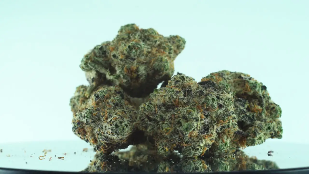 Close up shot of a Marijuana sativa Super Lemon Haze flowers green and purple on a reflecting 360 rotating stand Slow motion 4K video