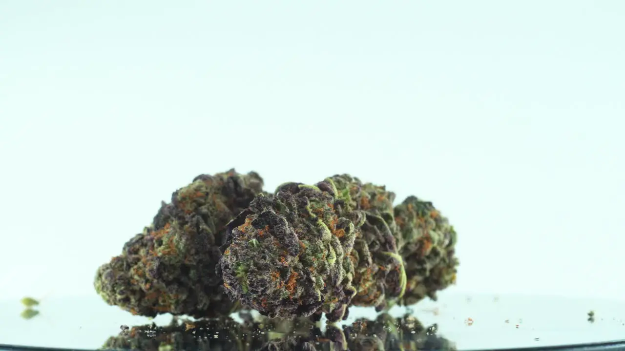 Close up shot of a Marijuana sativa Sour Diesel flowers green and purple on a reflecting 360 rotating stand Slow motion 4K video