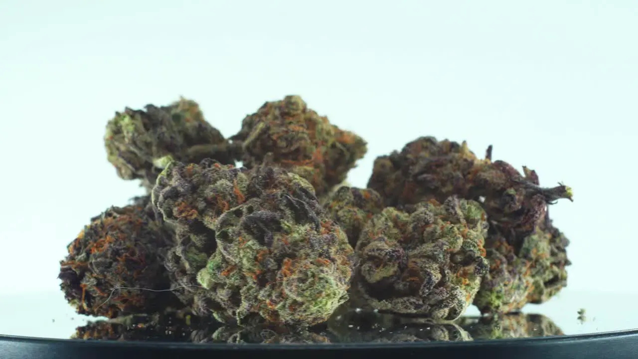 Close up shot of a Marijuana sativa Sour Diesel flowers green and purple on a reflecting rotating stand Slow motion 4K video