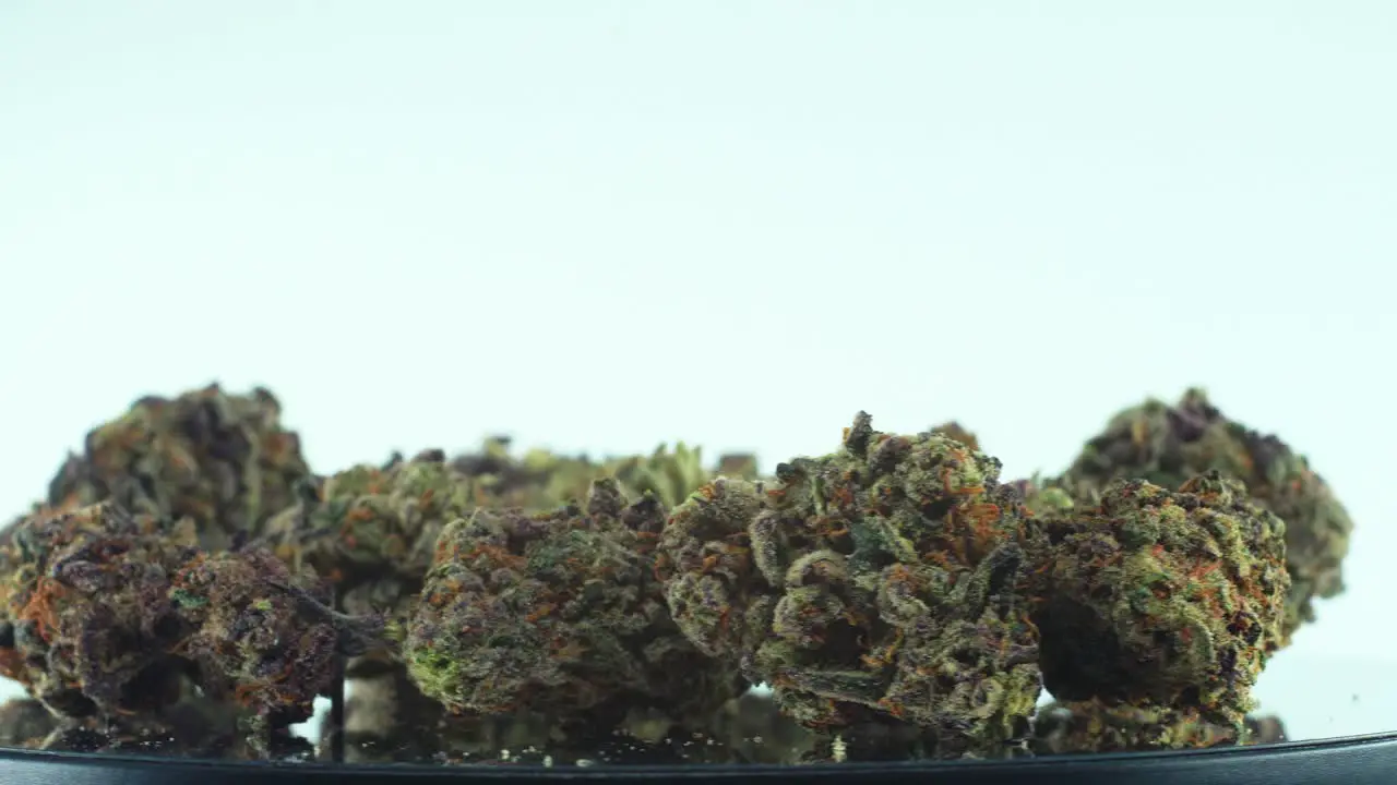 Close up shot of a Marijuana sativa Sour Diesel flowers green and purple on a rotating stand Slow motion 4K video