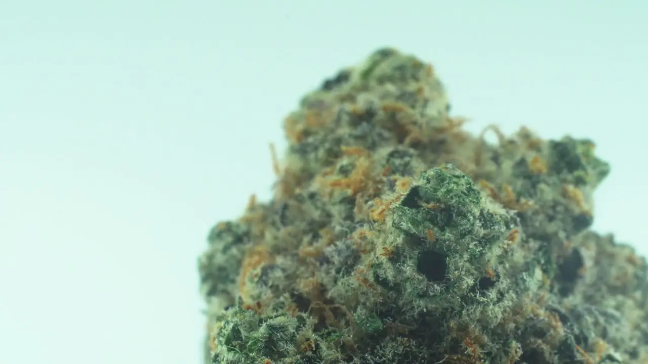 Macro Close up shot of a Marijuana sativa Super Lemon Amnesia Haze rock flowers yellow green and purple Kush on a 360 rotating stand in a black shiny bowl Slow motion 4K video