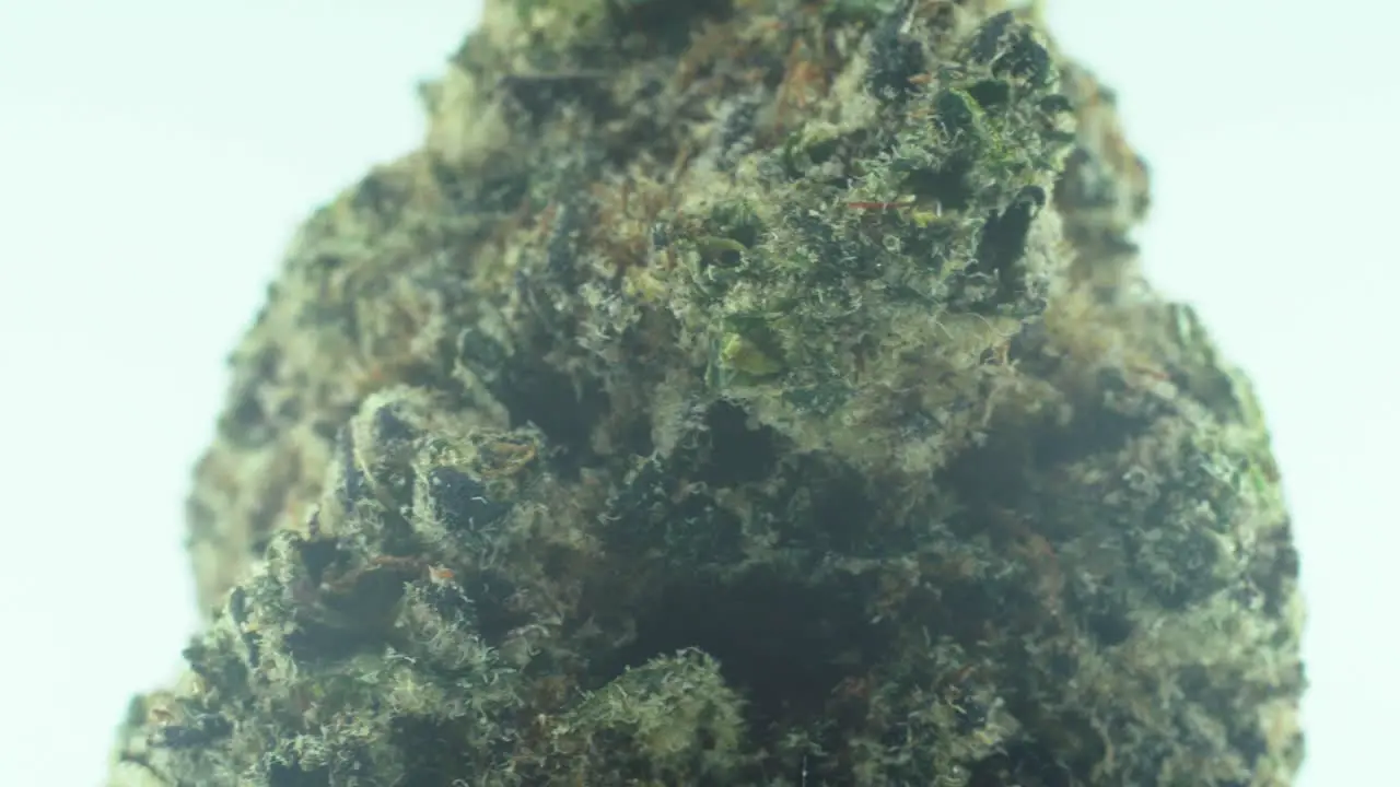 Macro Close up shot of a Marijuana sativa Super Lemon Amnesia Haze rock flower yellow green and purple Kush on a 360 rotating stand Slow motion 4K video