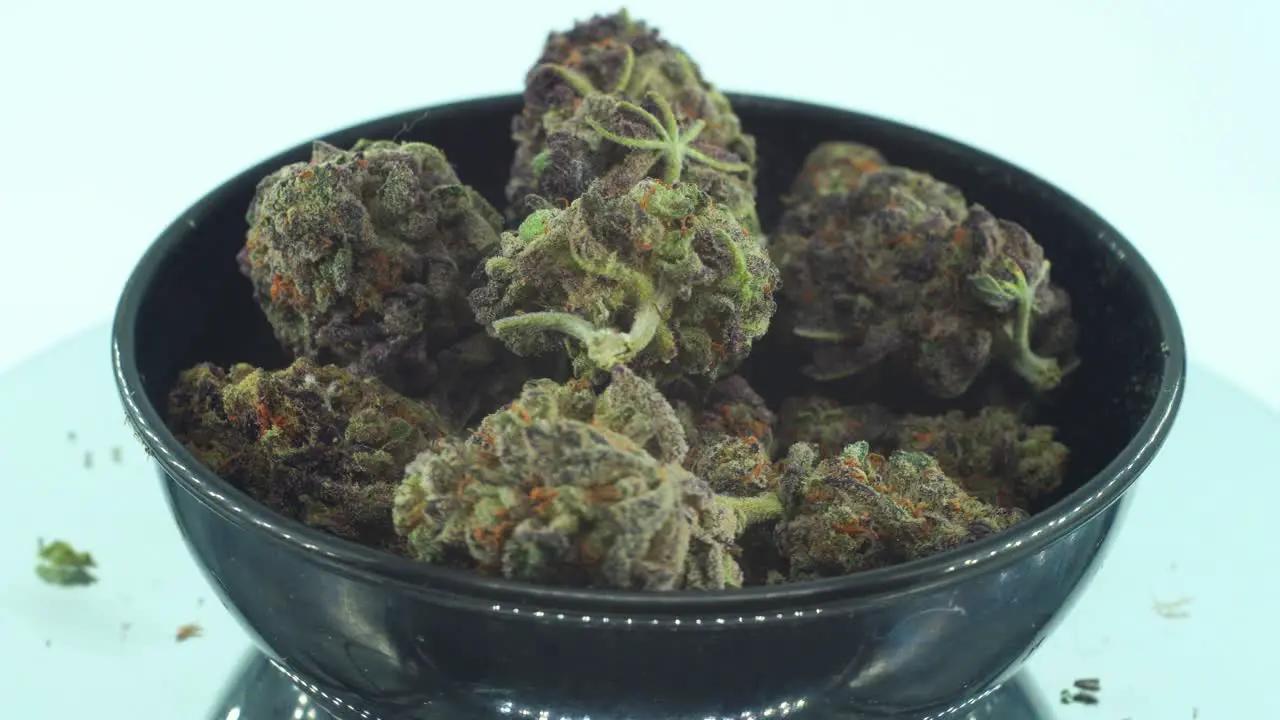 Close up shot of a Marijuana sativa Sour Diesel flowers with trichomes green and purple Kush on a rotating stand in a black shiny bowl Slow motion 4K video