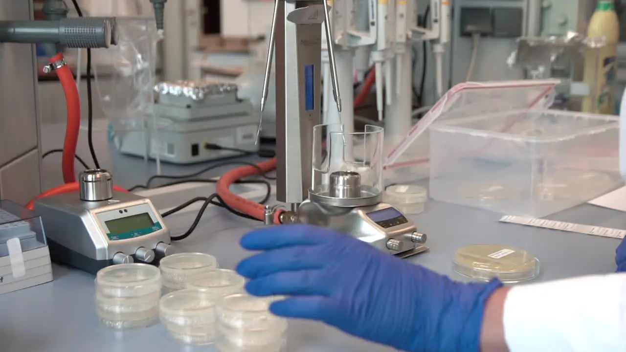 Science Laboratory Technician Scientist Working in Lab Using Petri Dish Burner Machine and Biotechnology Equipment and Tools Hand in Latex Gloves