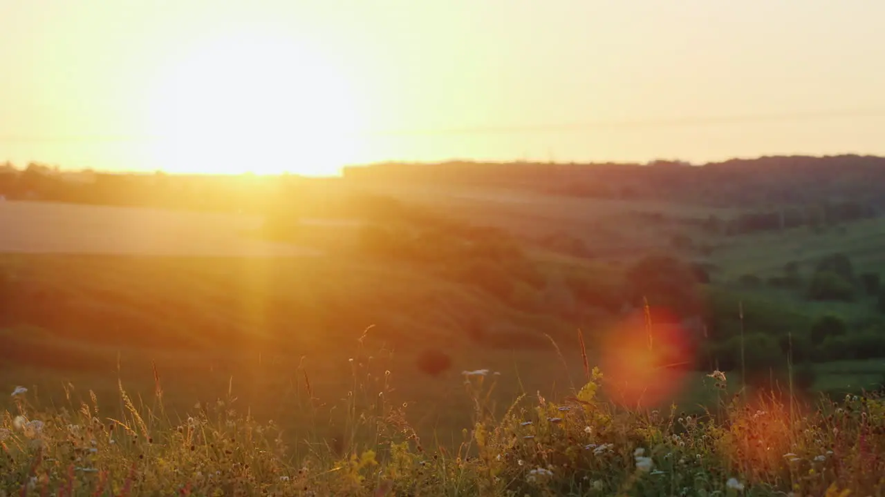 A Friendly Energetic Family Runs To Meet The Sun Enjoys Beautiful Scenery