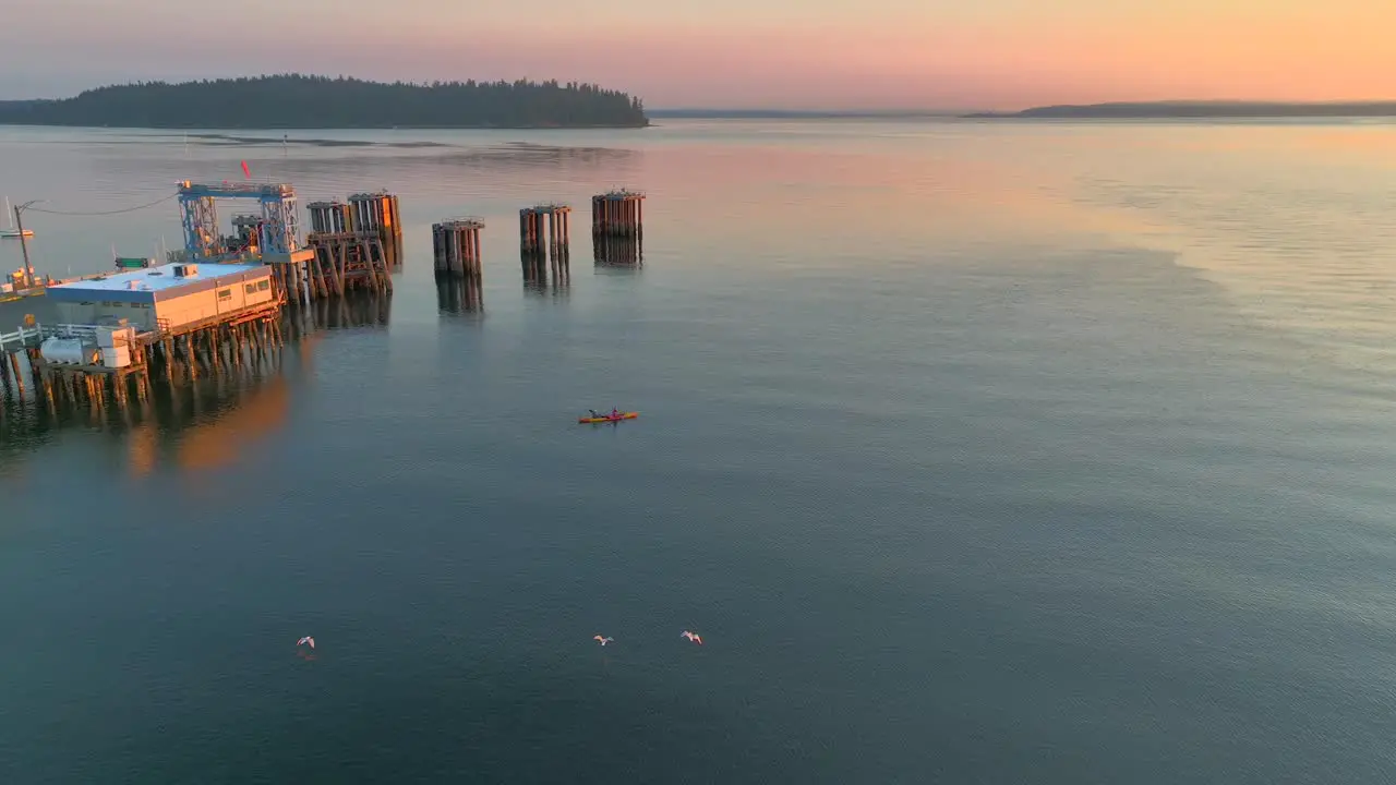 Aerial drone view of young couple paddling together in sea kayak at sunrise with three birds flying beneath near a pier with sun glare reflecting off bay water near seattle washington