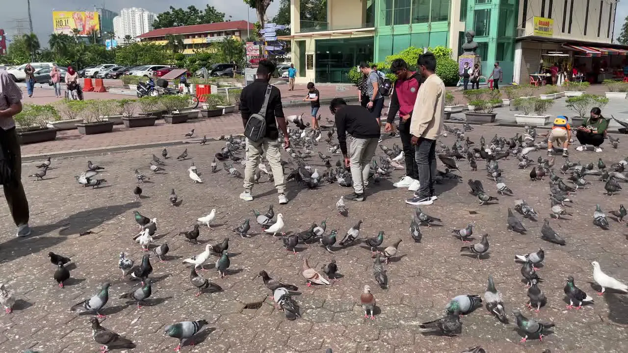 People feed hungry pigeons outside the famous Batu Caves Temple