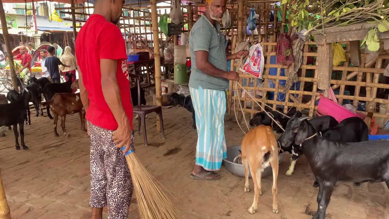 Typical street scene in Dhaka Bangladesh with locals and goats