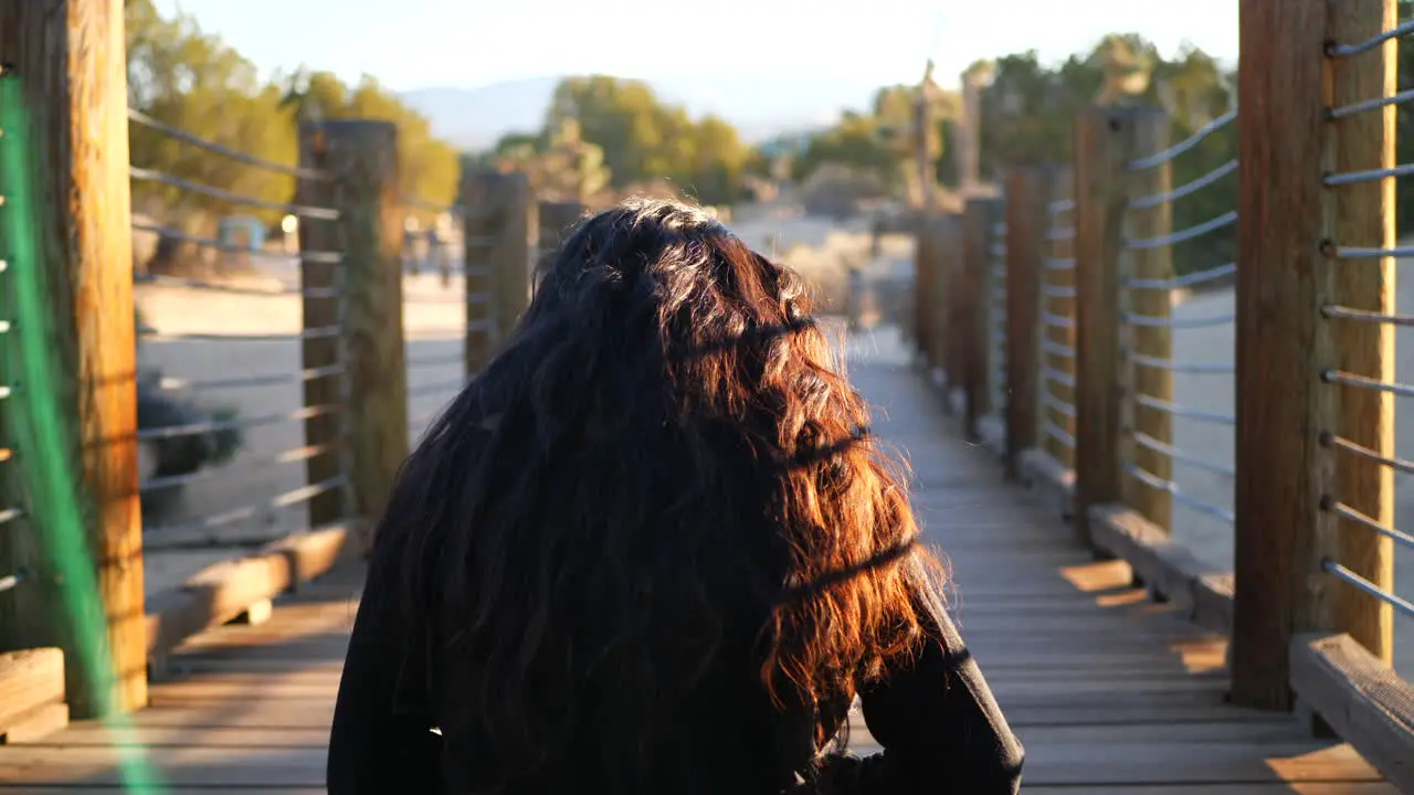 A shot from behind a beautiful girl with black hair sitting down and practicing meditation and mindfulness in the desert at sunset