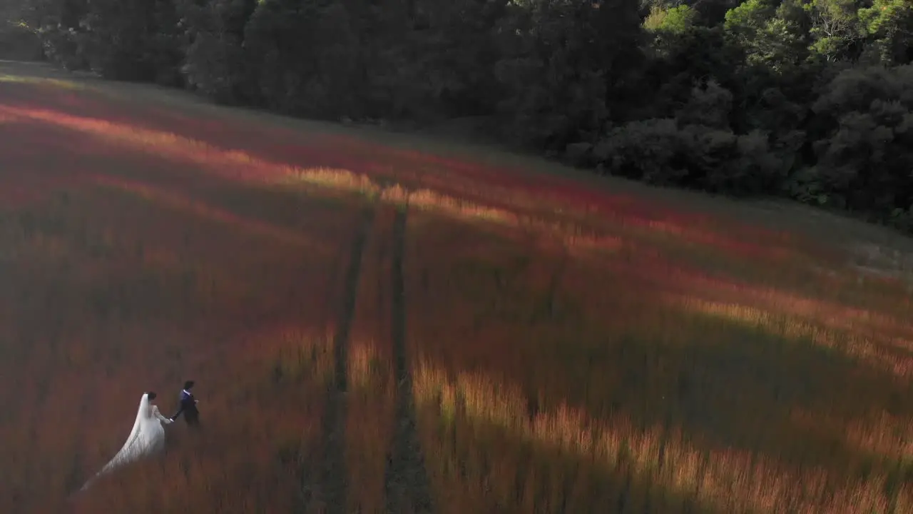 Newlyweds crossing a pink green field at twilight wide high angle