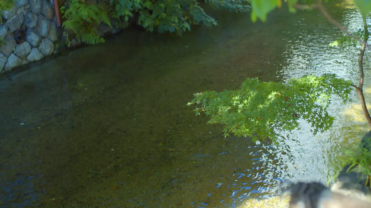 Calm river flowing early in the morning in Kyoto Japan soft lighting slow motion 4K