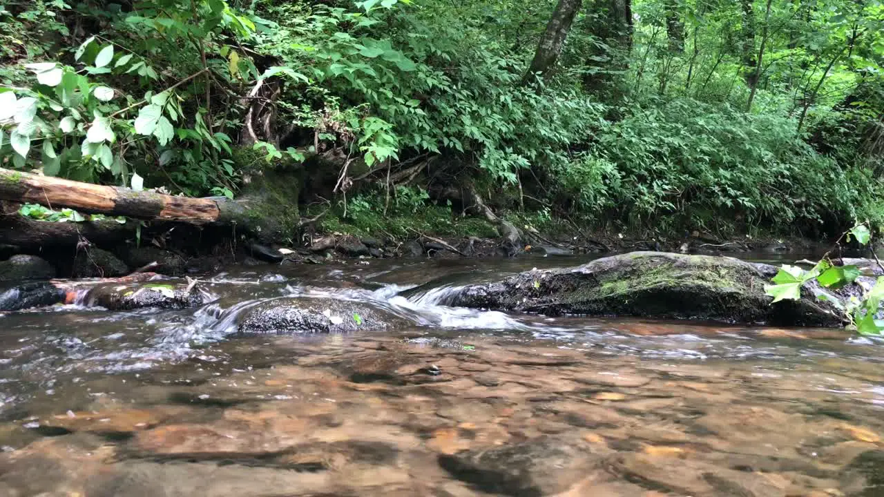 Night falls on an ominous flowing river bordered by trees and rocks