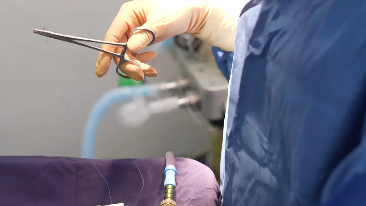 surgeon with scissors cooking patient in operating room