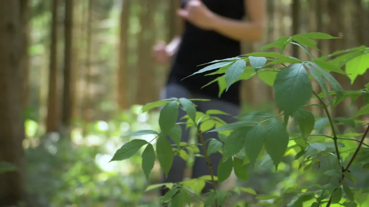 Outdoor scene of woman jogging in a wooded area