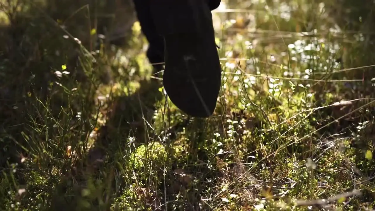 Slow motion shot of following the footsteps of someone moving through a forest environment