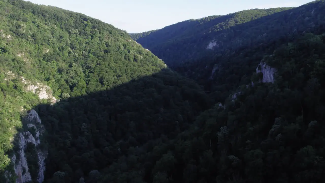 forest on small mountains in a valley created by a river aerial