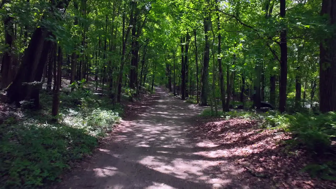 A low altitude aerial view of a long dirt road under tall green trees on a sunny day