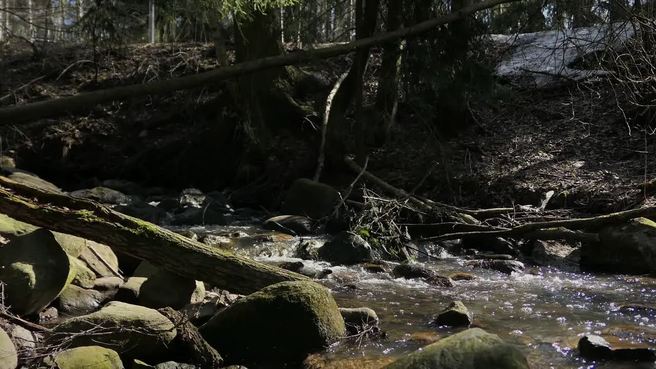 Natural stream in forest spring crane shot