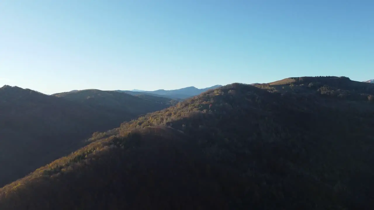 Beautiful aerial shot of a lake surrounded by mountains full of pines and trees