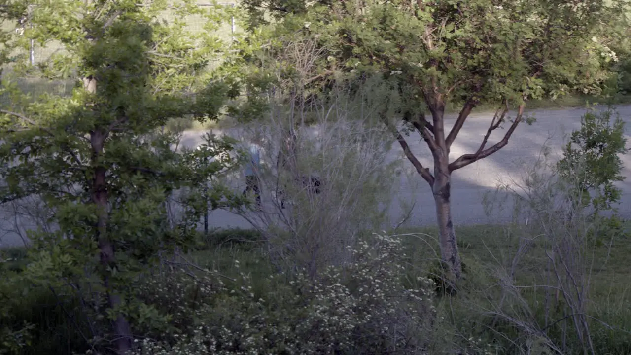 Two women walking behind a set of trees in a park