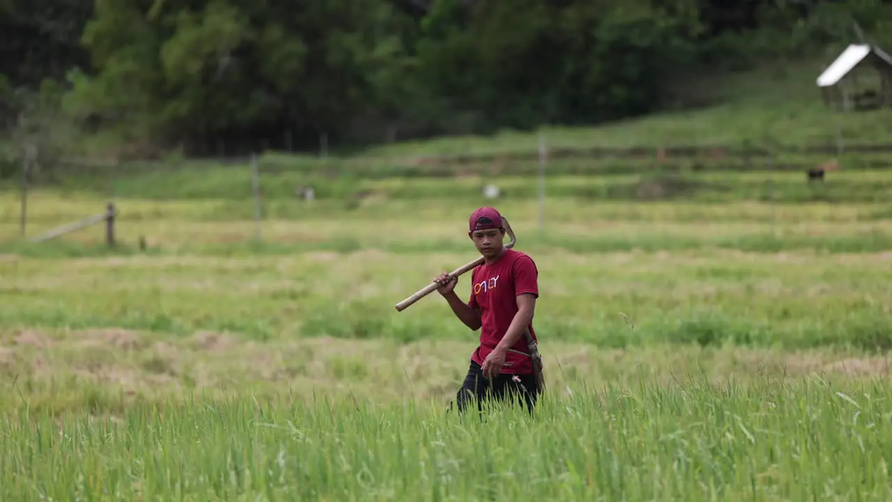 Asian farmer Walking In Field