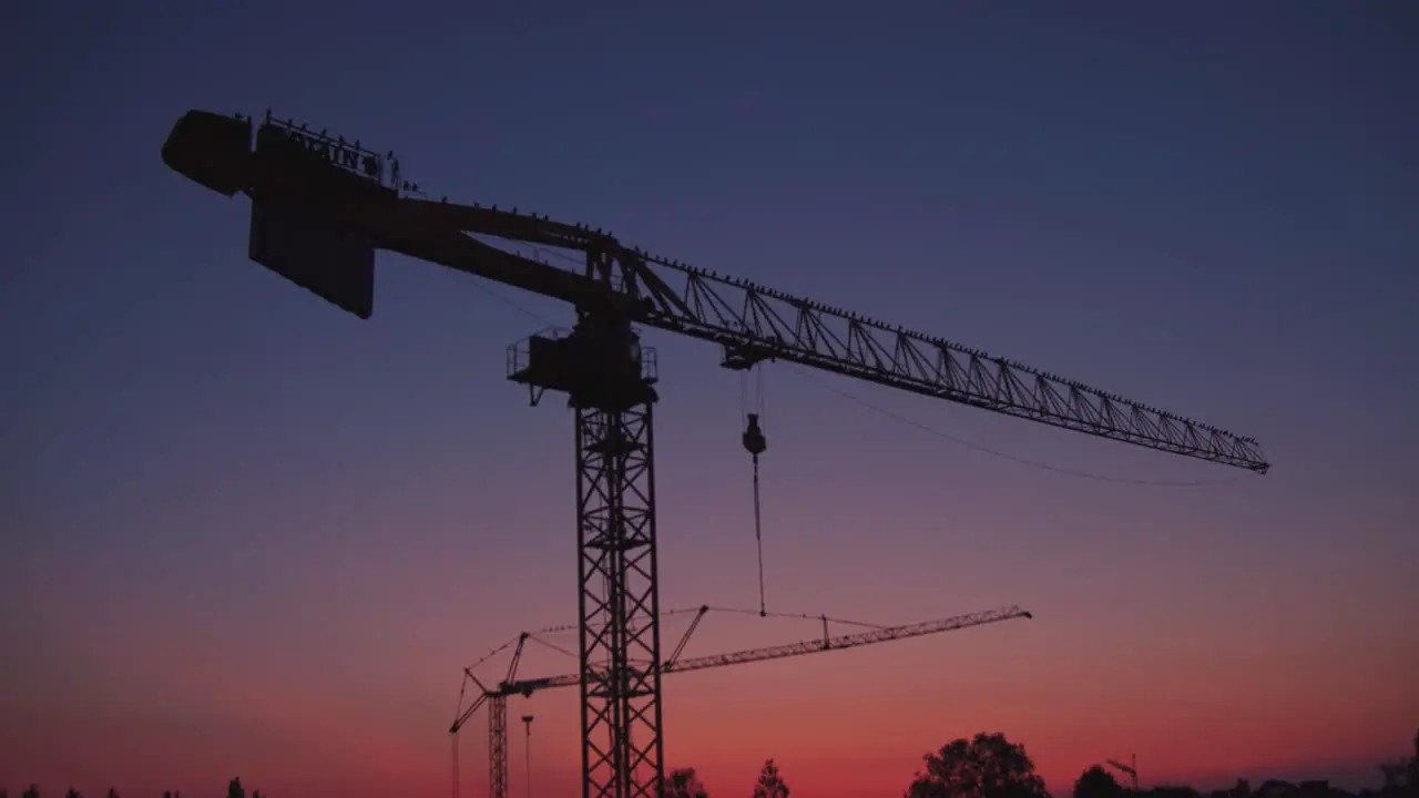 Construction cranes with birds at sunset