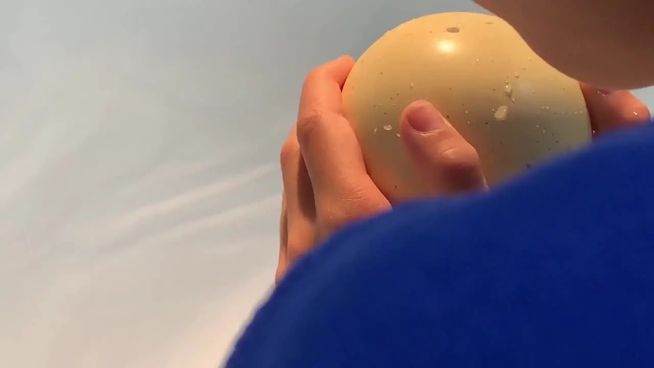 A hatching dinosaur egg