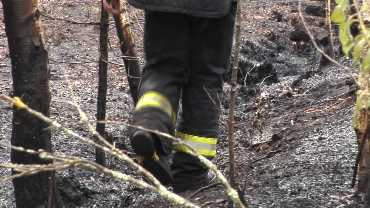 Firefighter Goes Through a Burning Forest