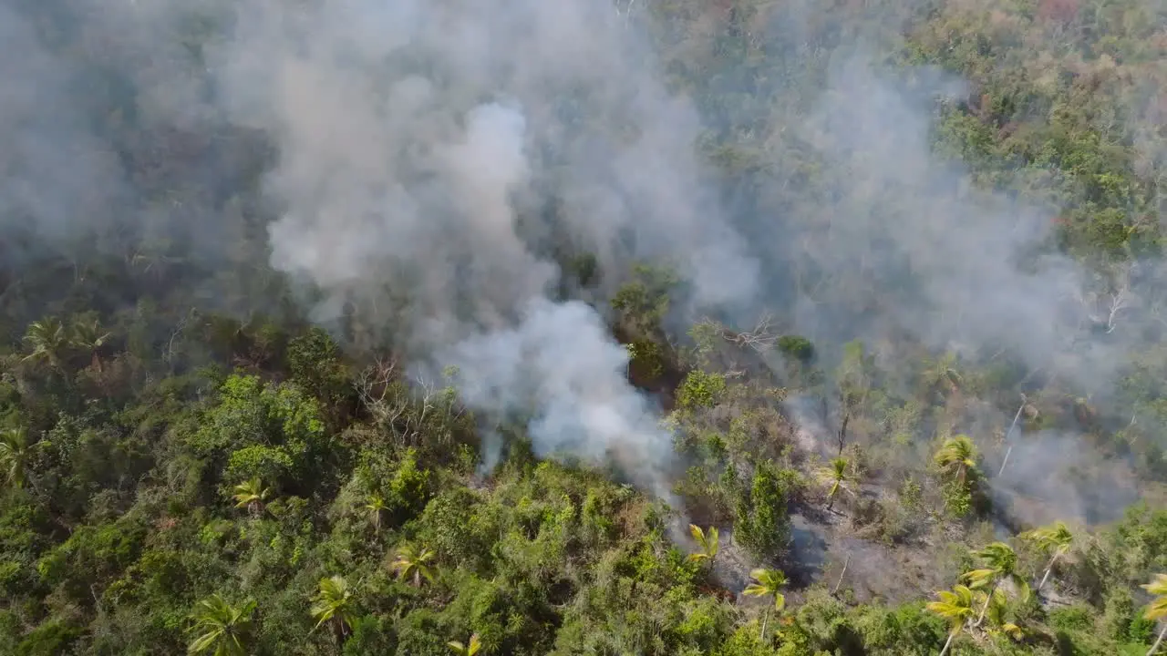 Global deforestation fires decreasing forest areas across the world Aerial view